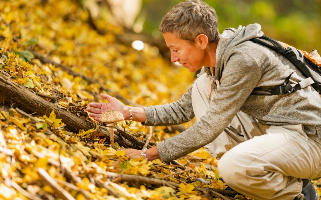 Nature’s Bounty: Discovering Edible Plants and Mushrooms