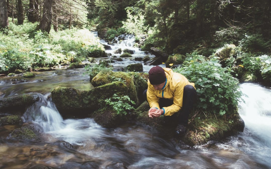 Wilderness Water Wisdom: A Guide to Finding Safe Hydration